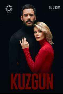 Ворон 1-21 серия турецкий сериал на русском языке смотреть бесплатно онлайн
